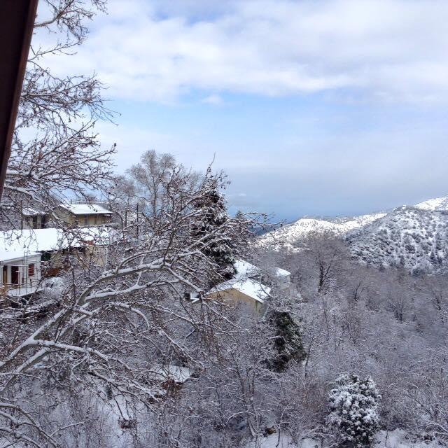 Aristotelio Boutique Hotel Педулас Екстериор снимка